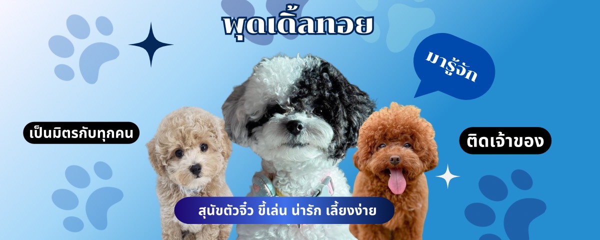 Banner บทความ